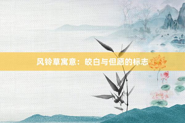 风铃草寓意:皎白与但愿的标志